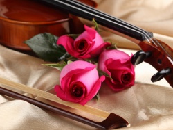 Полиантовая роза фото